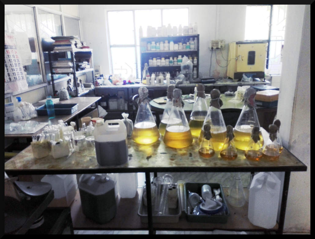 Manufacturing Facilities 3